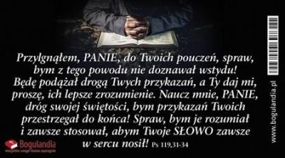 Opakowanie Magnes na lodówkę Przylgnąłem, PANIE, do Twoich...