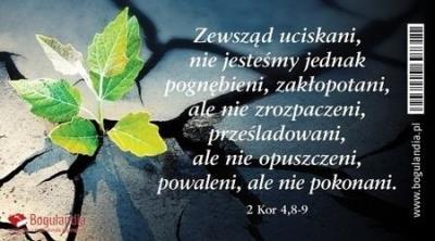 Opakowanie Magnes na lodówkę Zewsząd uciskani nie jesteśmy..