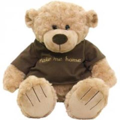 Opakowanie Miś Take Me Home 38 cm