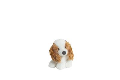 Opakowanie Molli Toys Piesek Cocker Spaniel 17 cm