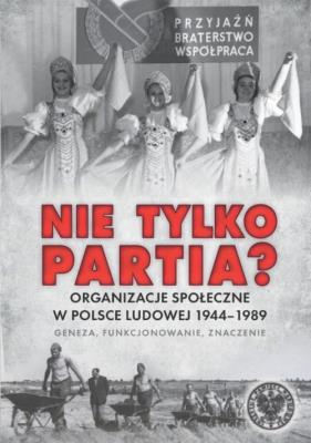 Nie tylko partia?. Autor: Tadeusz Ruzikowski. SmakLiter.pl Okładka książki Nie tylko partia?
