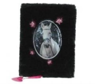 Okładka książki Pamiętnik pluszowy 18-3670HR