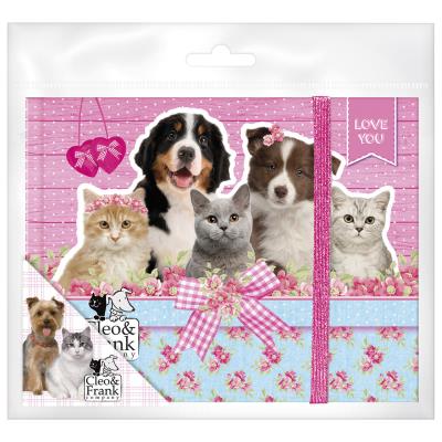 Okładka książki Pamiętnik z gumką Cleo i Frank