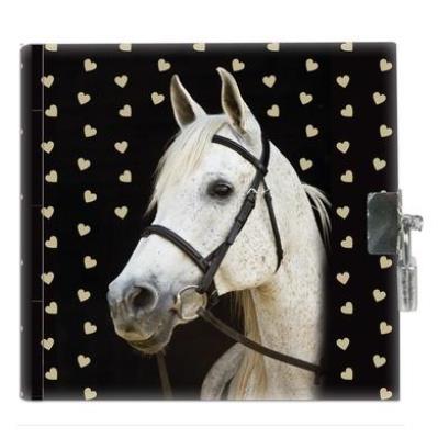 Opakowanie Pamiętnik z kłódką Horse 2