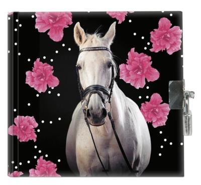 Opakowanie Pamiętnik z kłódką Horse