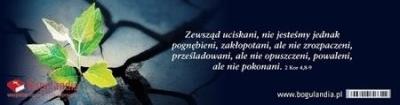 Opakowanie Zakładka do książki Zewsząd uciskani, nie jesteśmy