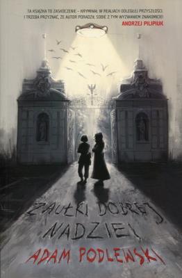 Okładka książki Zaułki dobrej nadziei