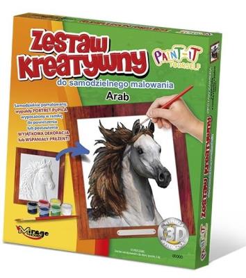 Okładka książki Zestaw Kreatywny do malowania - Arab