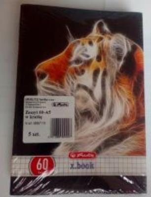 Opakowanie Zeszyt A5/60k kratka Animal Fractals (5szt)