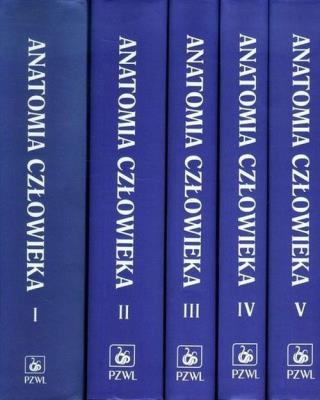 Opakowanie Anatomia człowieka 1-5