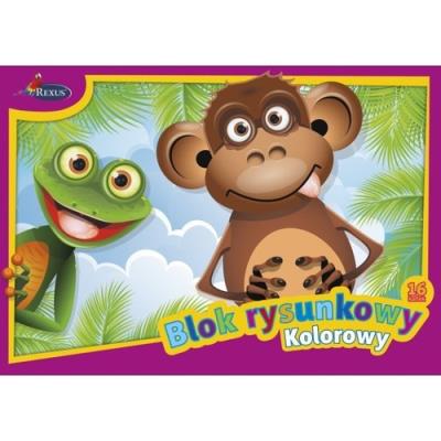 Opakowanie Blok rysunkowy kolorowy A3 Rexus 16 kartek 5 sztuk