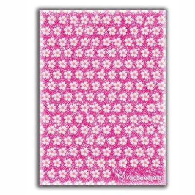 Opakowanie Błyszczący Pamiętnik Rachael Hale RHV-3660