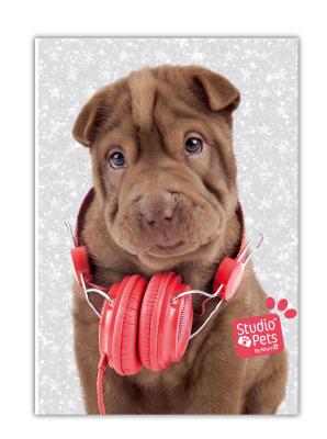 Opakowanie Błyszczący Pamiętnik Studio Pets PEJ-3660