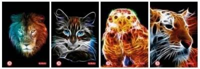 Opakowanie Brulion B5/120K kratka Animal Fractals (5szt)