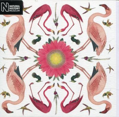 Opakowanie Karnet kwadrat z kopertą Greater Flamingo