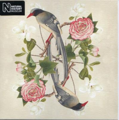 Opakowanie Karnet kwadrat z kopertą Red-billed Blue Magpie