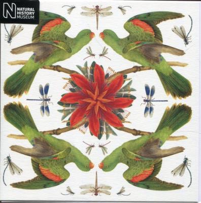 Opakowanie Karnet kwadrat z kopertą Red-winged Parrot