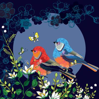 Opakowanie Karnet Swarovski kwadrat Ptaszki i motylek