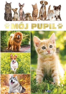 Mój Pupil. Autor: Piotr Markiewicz. SmakLiter.pl Okładka książki Mój Pupil
