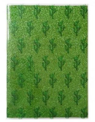 Opakowanie Notes A5/80K Zielony Kaktus