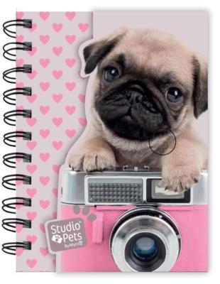 Opakowanie Notes na spirali A6 Studio Pets