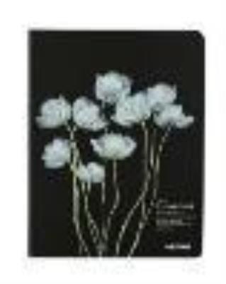 Opakowanie Notes szkicownik A6 Krokus