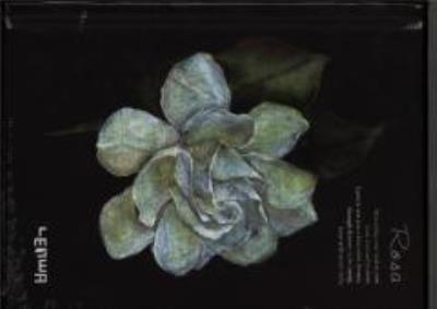 Opakowanie Notes szkicownik A6 Róża