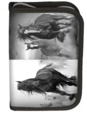 Opakowanie Piórnik Horse 17-001HO/B PASO