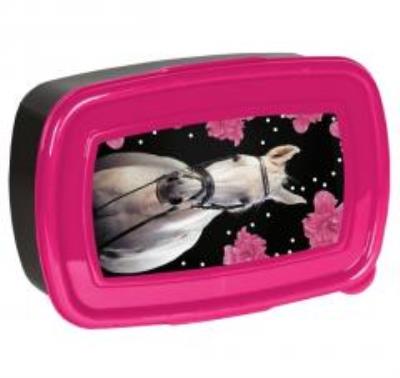 Opakowanie Śniadaniówka 18-3022HR