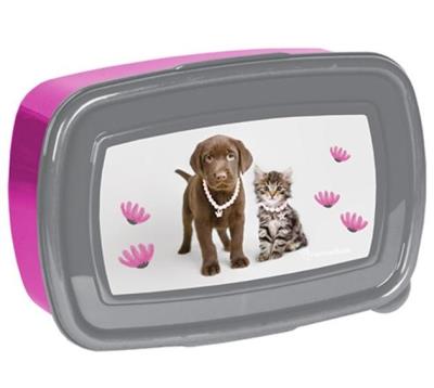 Opakowanie Śniadaniówka Rachael Hale RLA-3022