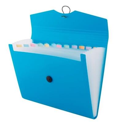 Opakowanie Teczka A4 12 przegródek niebieska D.RECT