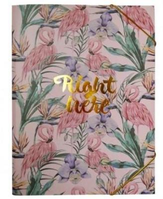 Opakowanie Teczka A4 Right Here Flamingi