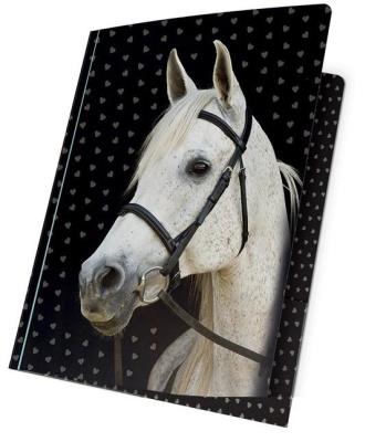 Opakowanie Teczka z gumką A4 18-109HS PASO