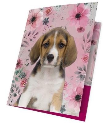 Opakowanie Teczka z gumką A4 18-109PS