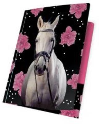 Opakowanie Teczka z gumką A4