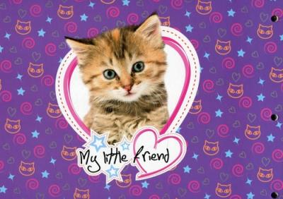 Opakowanie Teczka z rączką A4 XL My Little Friend Cabi