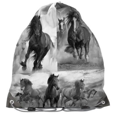 Opakowanie Worek na buty Horse 17-712HO PASO