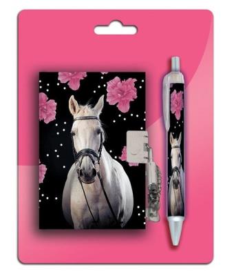 Opakowanie Zestaw Pamiętnik z długopisem 18-3643HR