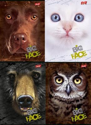 Opakowanie Zeszyt A5 w kratkę 80 kartek The Mountain 10 sztuk mix