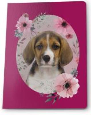 Zeszyt A5/16K kratka (5szt) PASO. Wydawca: Paso. SmakLiter.pl Opakowanie Zeszyt A5/16K kratka (5szt) PASO