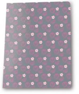 Zeszyt A5/16K kratka Rachael Hale (5szt) PASO. Wydawca: Paso. SmakLiter.pl Opakowanie Zeszyt A5/16K kratka Rachael Hale (5szt) PASO