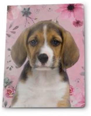 Opakowanie Zeszyt A5/16K linia (5szt) PASO