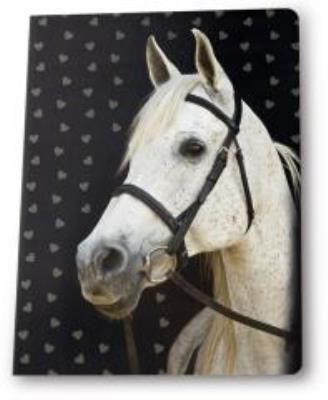 Opakowanie Zeszyt A5/16K linia PASO