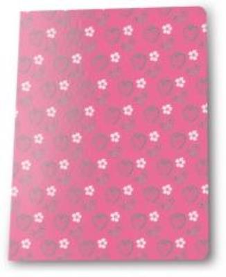 Opakowanie Zeszyt A5/16K linia Rachael Hale (5szt) PASO