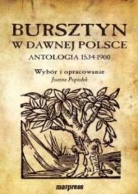 Okładka książki Bursztyn w dawnej Polsce. Antologia 1534-1900