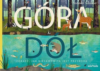 Okładka książki Góra i dół Zobacz jak niesamowita jest przyroda