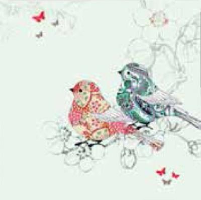 Opakowanie Karnet Swarovski kwadrat CL0504 Ptaszki