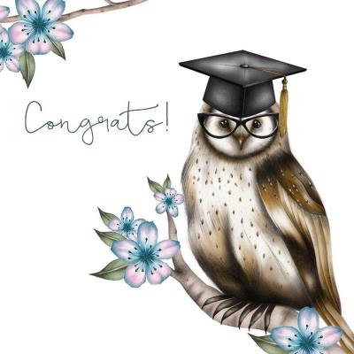 Opakowanie Karnet Swarovski kwadrat Gratulacje sowa