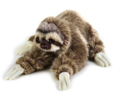 Leniwiec. Wydawca: National Geographic. SmakLiter.pl Opakowanie Leniwiec