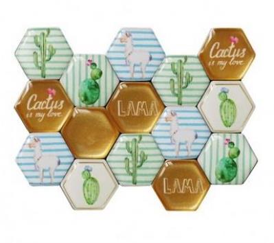 Okładka książki Magnesy Kaktusy i Lama